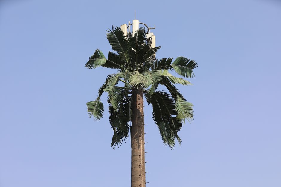 Communication tower camouflaged as a palm tree under a clear blue sky.